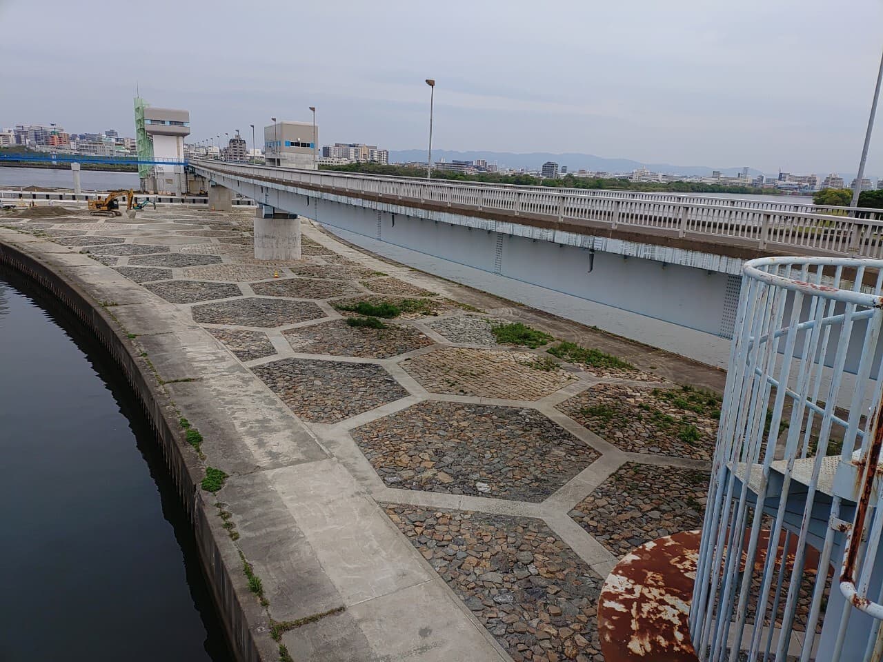 p0002234.jpg