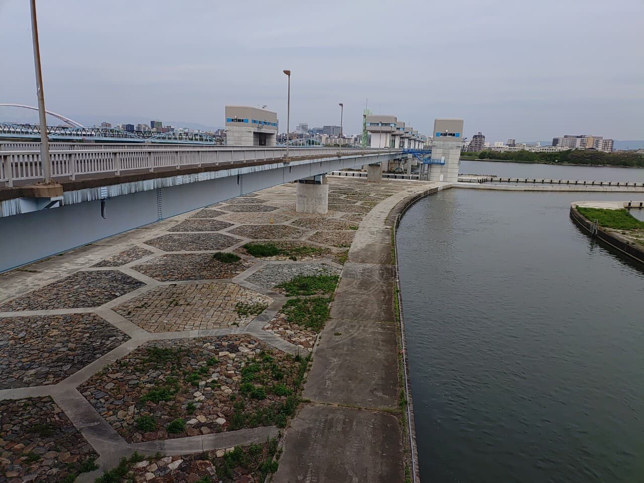 p0002235.jpg